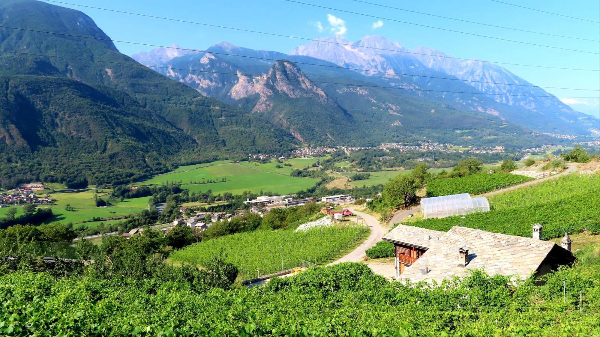 La Vrille - Chambres D'Hotes Verrayes Luaran gambar