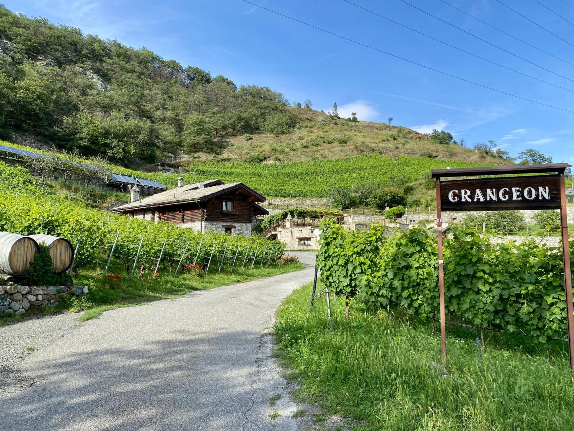 La Vrille - Chambres D'Hotes Verrayes Luaran gambar